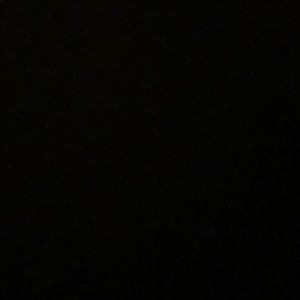 Meet your Posher, Hudson